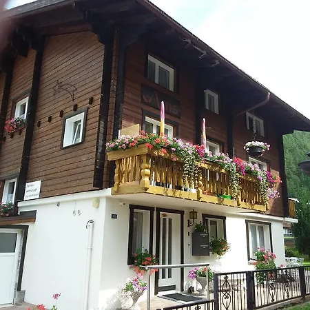 Anis 사스-알마겔