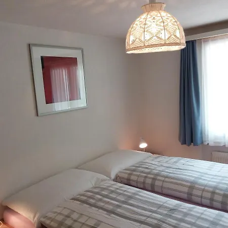 Anis 사스-알마겔