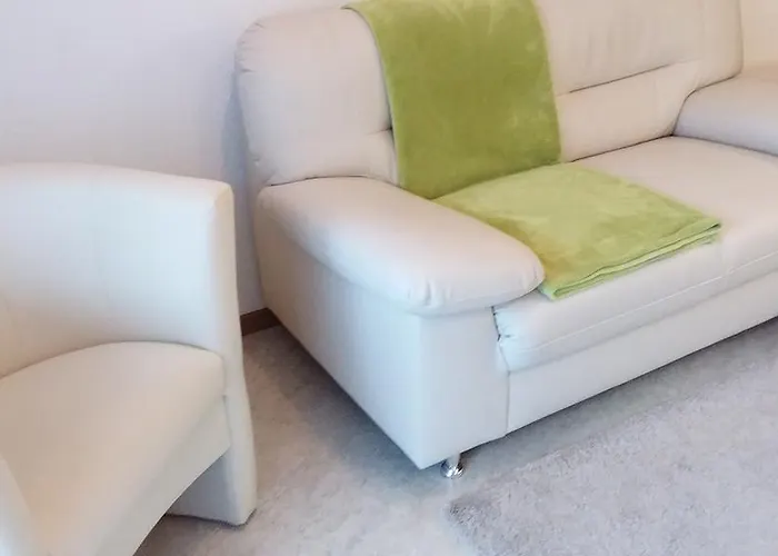 Anis Саас-Альмагель