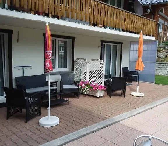 Anis Саас-Альмагель