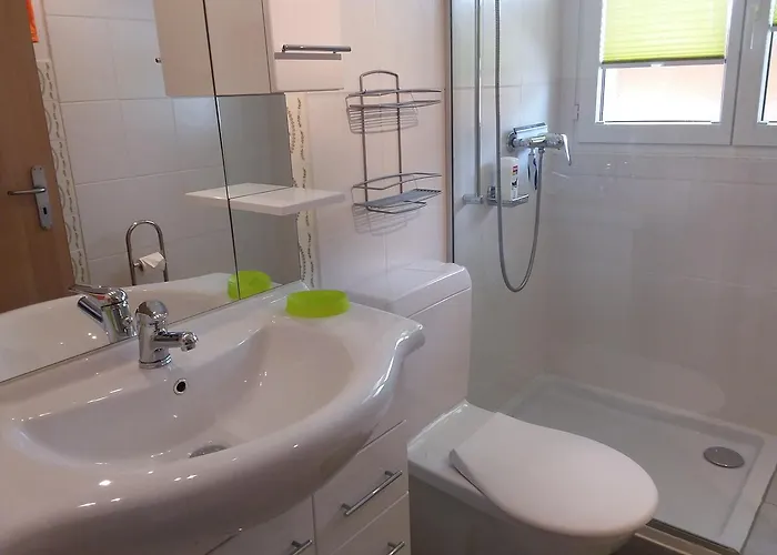 Anis 사스-알마겔